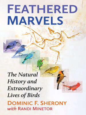 cover image of Feathered Marvels